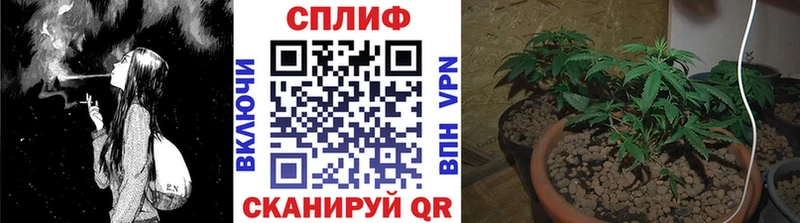 Где купить Шахты Конопля АМФЕТАМИН ГАШ A PVP
