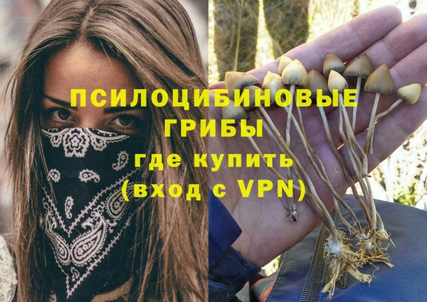 молекула духа Абинск