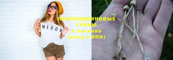 марихуана Абаза